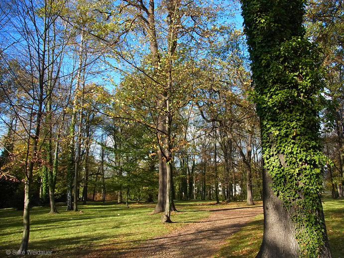 Schlosspark